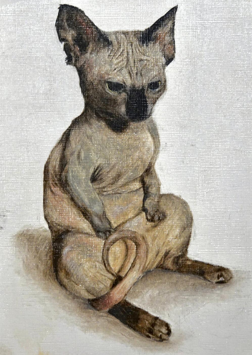 Sphynx Cat Portrait — Original oil painting by Sakina Ghulam, available for $520